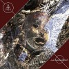 AM NOT - THE DEVELOPING WORLD cd